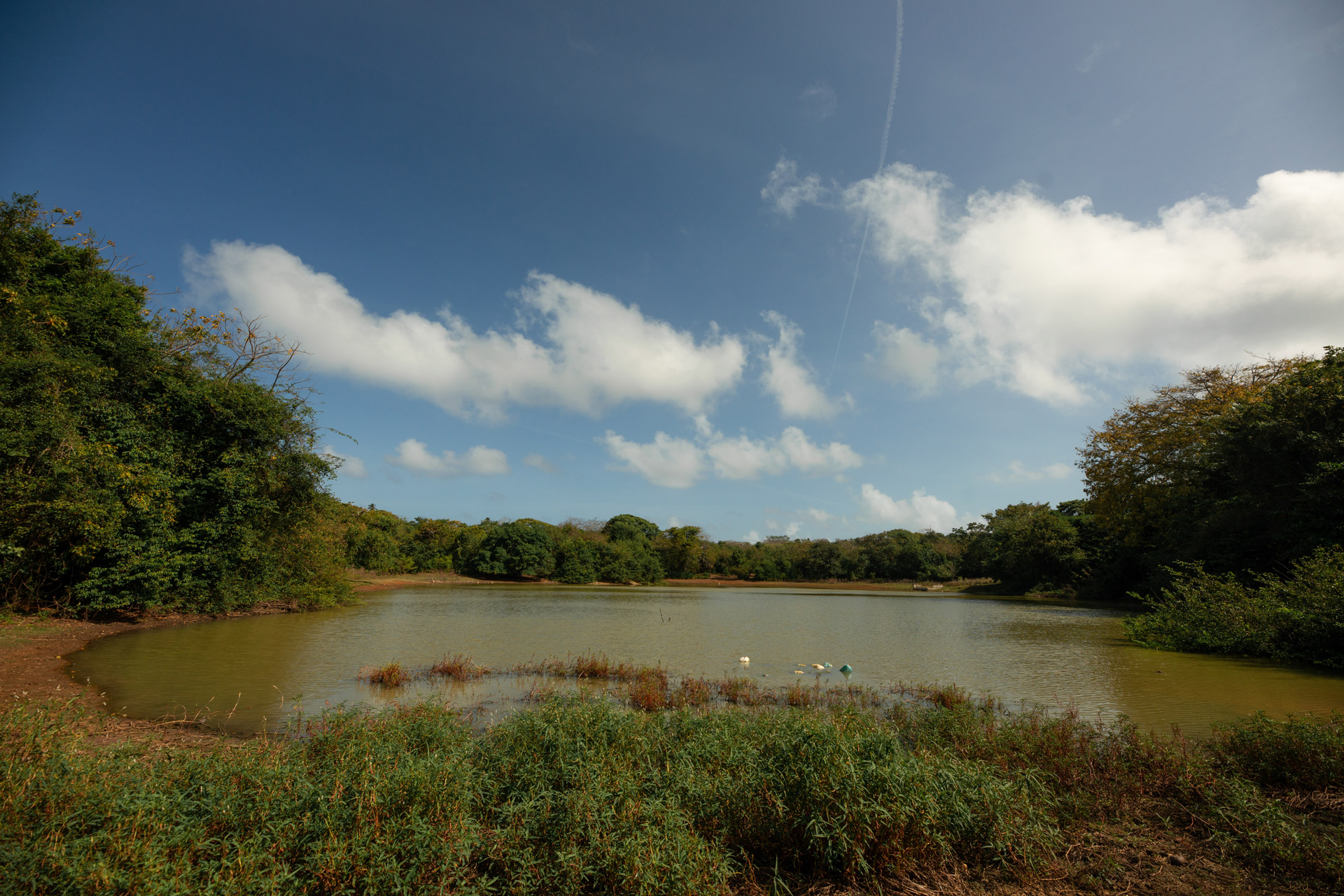 La Laguna - Big Pond