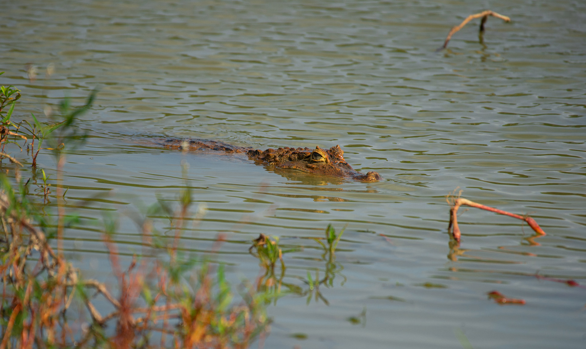 La Laguna - Big Pond (Cove)